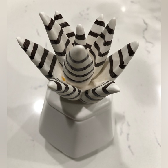 Succulent Ceramic Jar Nate Berkus - Picture 5 of 12